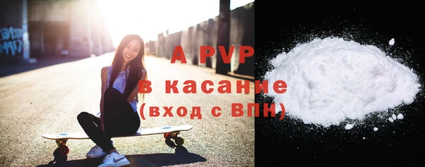 хмурый Аркадак