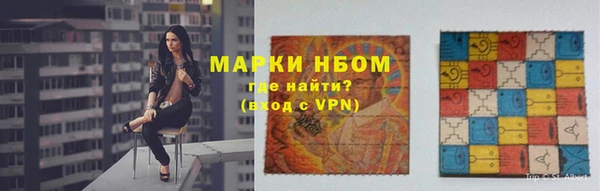 хмурый Аркадак