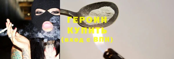 хмурый Аркадак