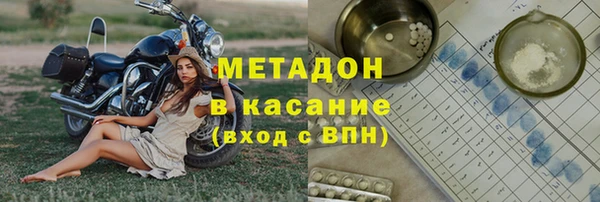хмурый Аркадак