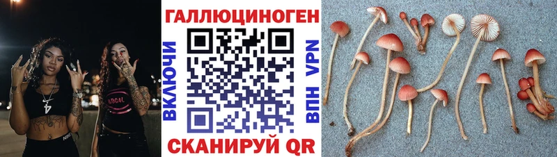 Галлюциногенные грибы MAGIC MUSHROOMS  дарнет шоп  Артёмовск 